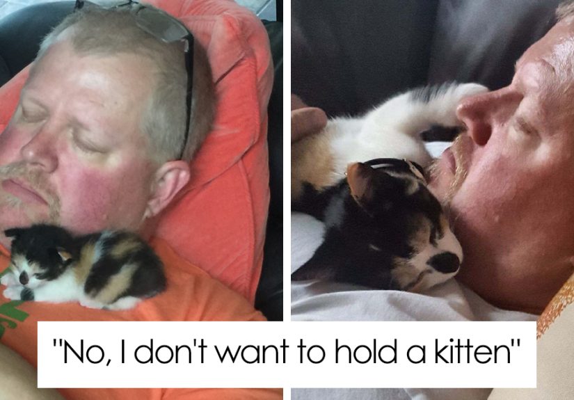 50 People Who Said They Didn’t Want The Damn Cats