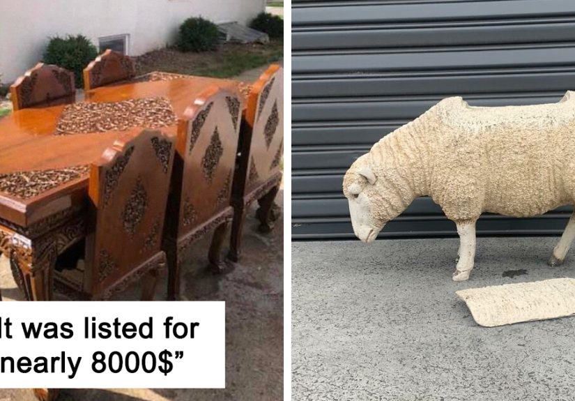 50 Times People Couldn't Believe Their Luck Thrifting