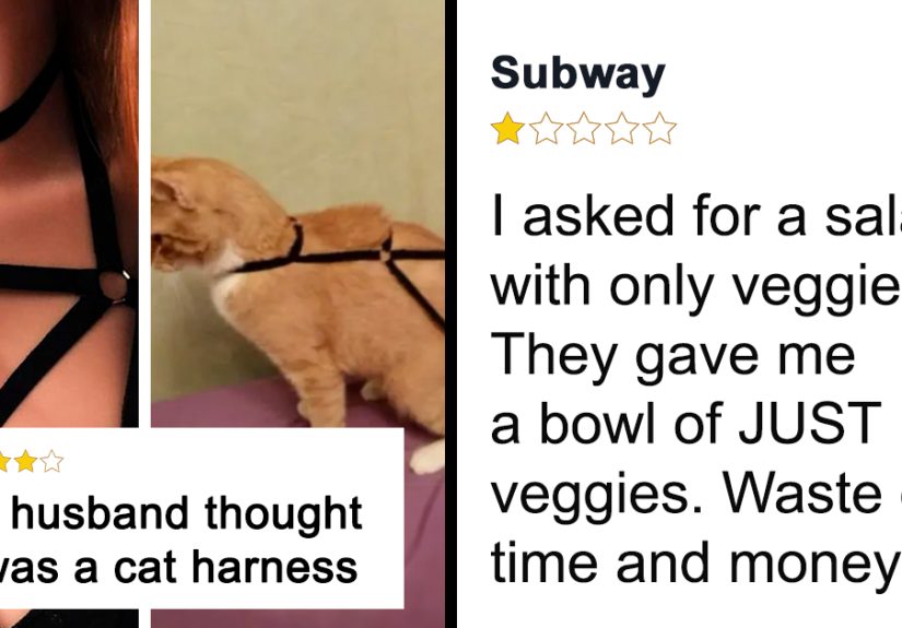 60 Hilariously Unhinged Reviews That Work Better Than Advertisements