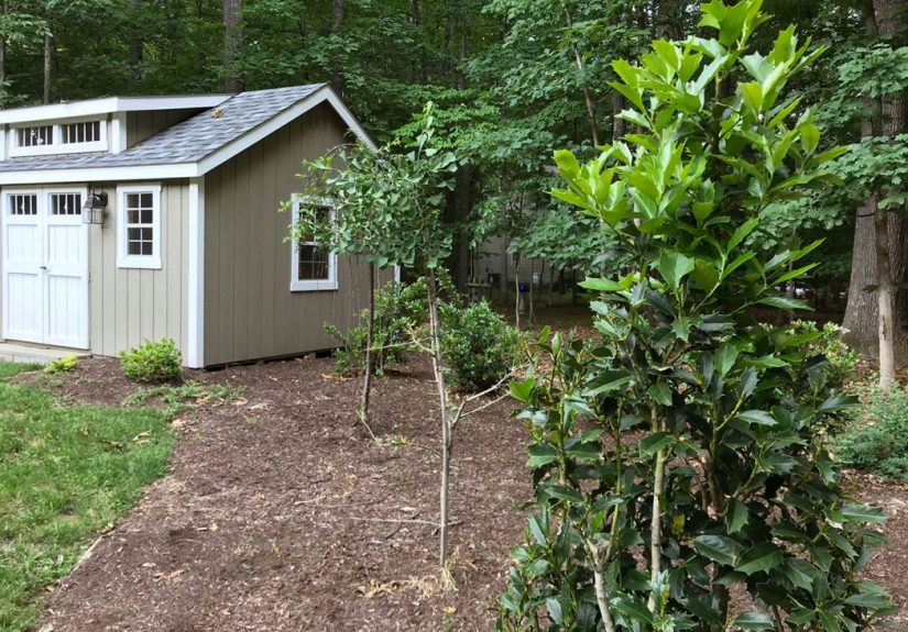 #99: Our Latest (And Grossest) Home Experiment