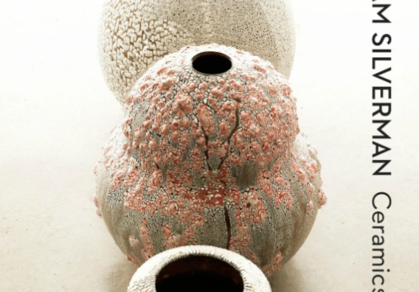 Adam Silverman Ceramics