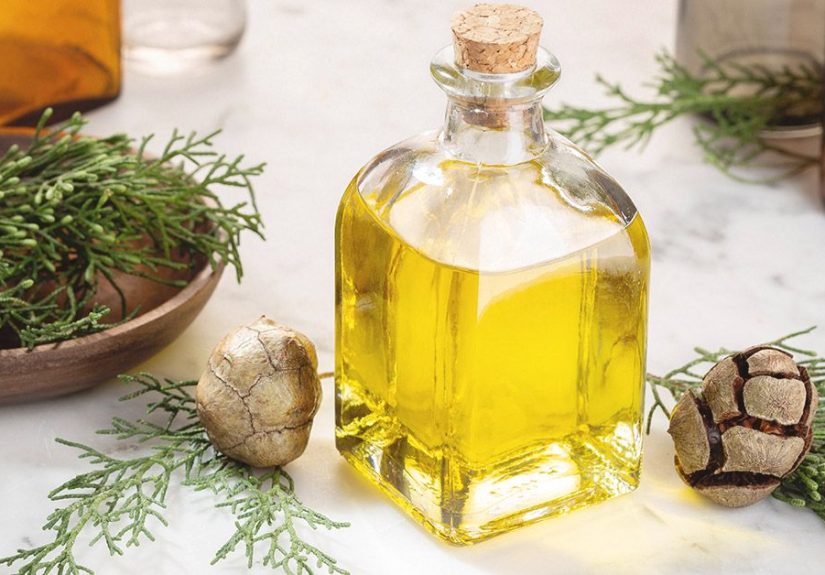 All About Cypress Oil: Science, Benefits, Risks & How to Use It
