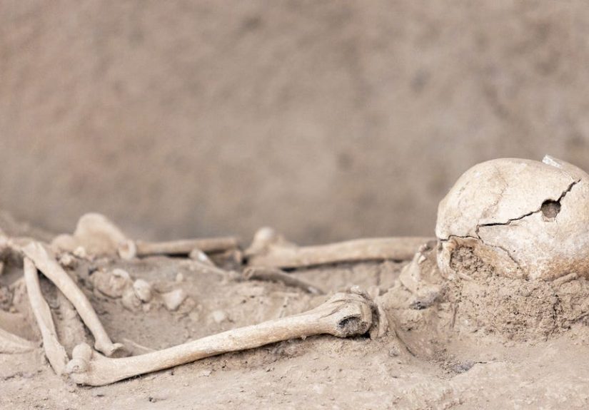 Archaeologists Discovered an Tool for Cracking Open Skulls