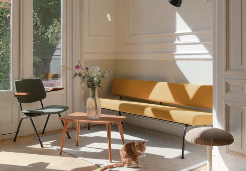 Current Obsessions: More Light