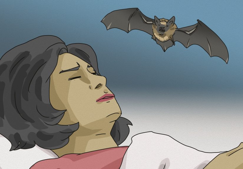 Dreams About Bats: Symbols of Intuition, Anxiety & More