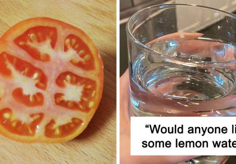 ‘Failed Harvest’: People Are Sharing What They Failed To Grow In 30 Funny Pics
