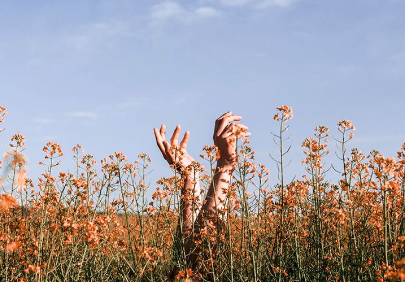 Fall vs. spring allergies: What is the difference?