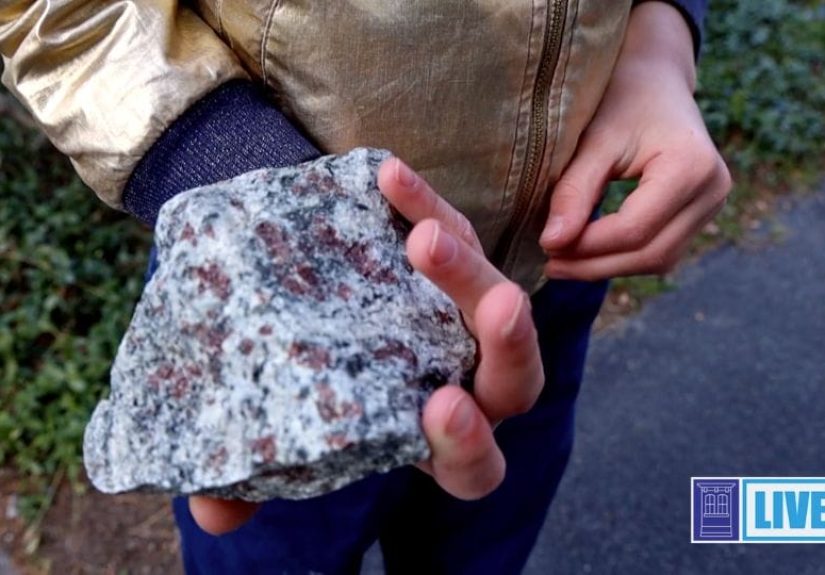 Family Rock Hunting Activity