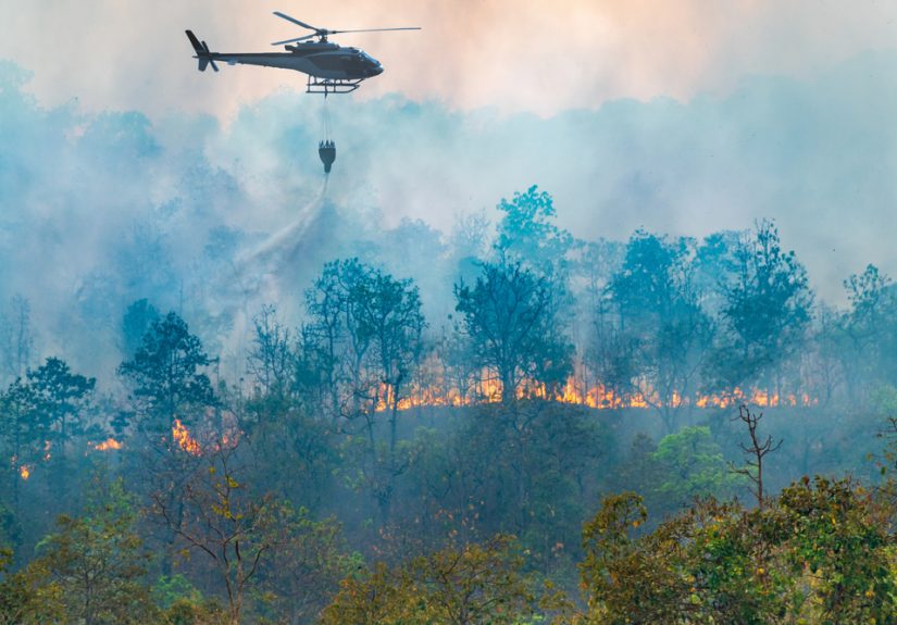 Green Shield Launches Affluent Homeowners Program for Wildfire-Hit Zones - IA Magazine