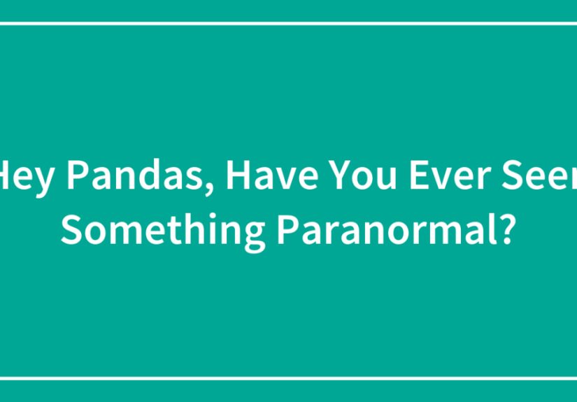 Hey Pandas, Have You Ever Seen Something Paranormal?