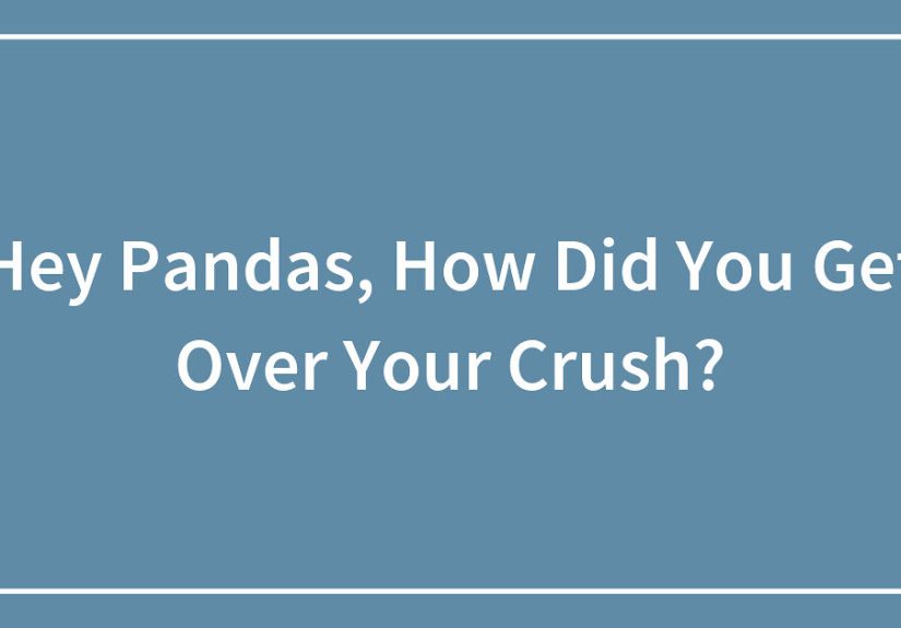 Hey Pandas, How Did You Get Over Your Crush? (Closed)