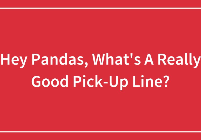 Hey Pandas, What’s A Really Good Pick-Up Line?