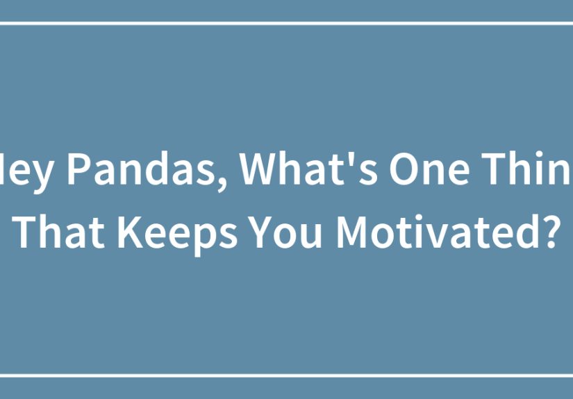 Hey Pandas, What’s One Thing That Keeps You Motivated?
