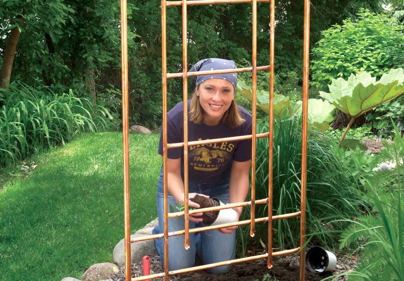 How To Build a DIY Copper Trellis for Your Garden