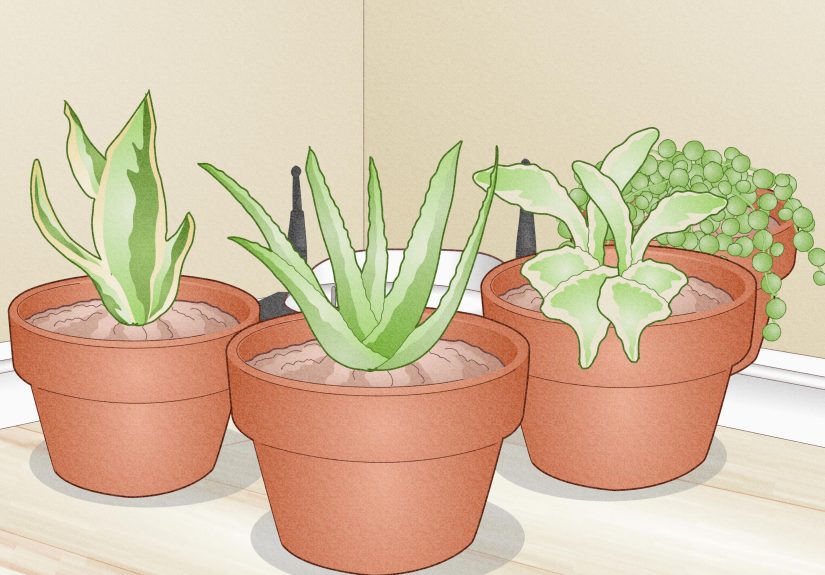 How to Hide a Modem and Router: 10 Clever & Elegant Solutions