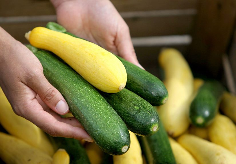 How to Plant and Grow Summer Squash
