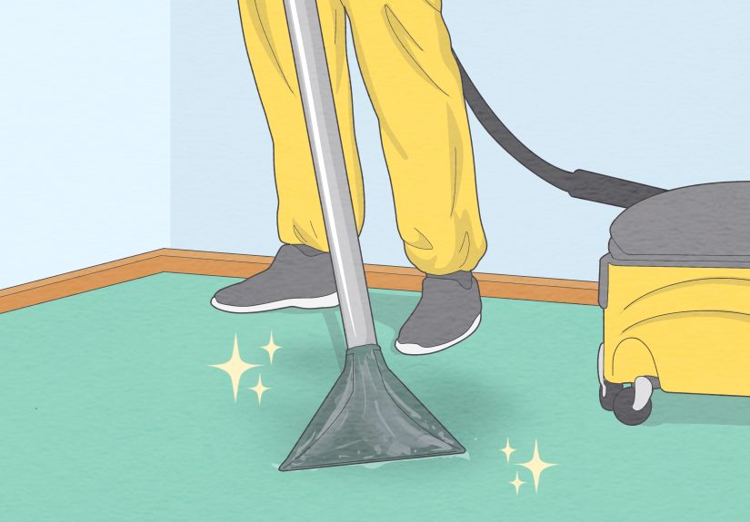 How To Remove Vomit Smell From Carpet: 5 Home Remedies