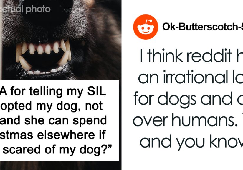“I Adopted My Dog, Not Her”: Woman Splits Family And The Internet With Her Clapback To SIL