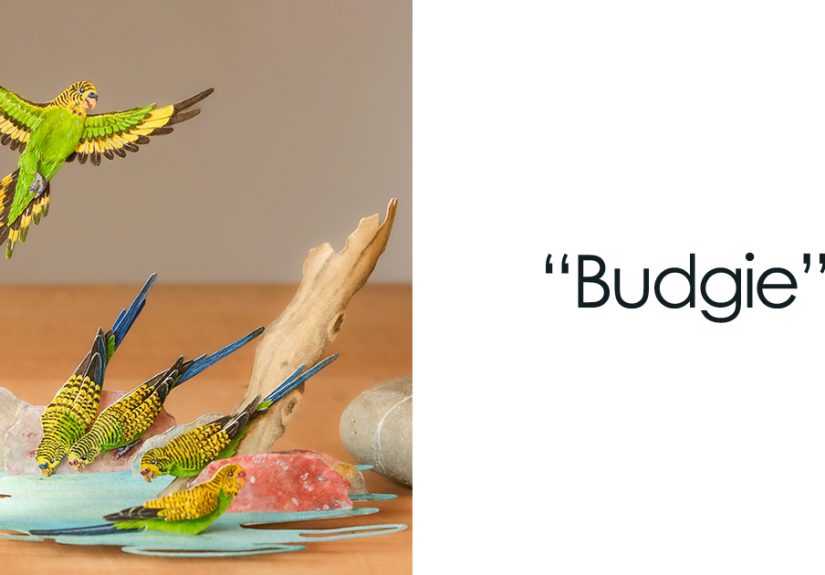 I Create Paper Art, And Here’s My Collection Of 40 Miniature Parrots