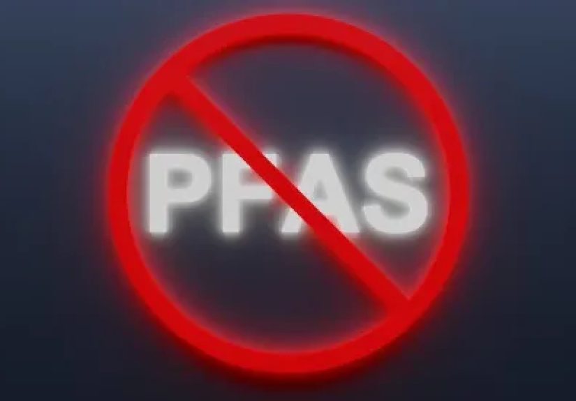PEER Announces Petition to Remove PFAS from Food Chain