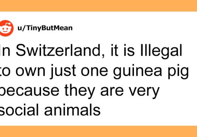 People Are Comforting Each Other With Uplifting Facts, And Here Are 30 Of The Best Ones