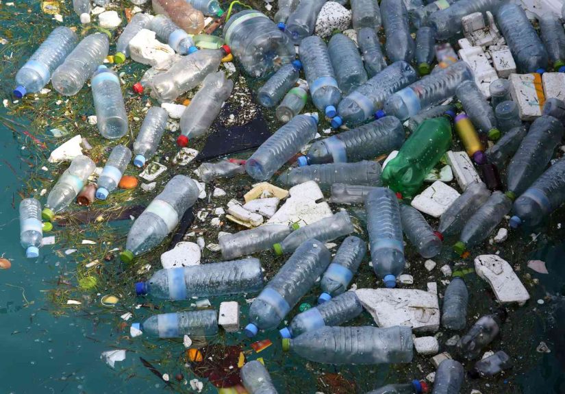 Pollution: Facts, Causes, Effects on Economy