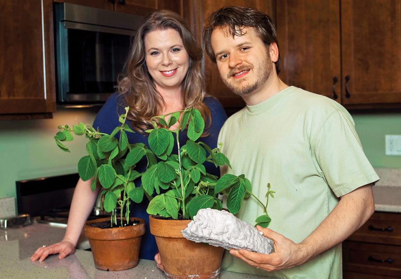 Soybean: Innovative Insulation