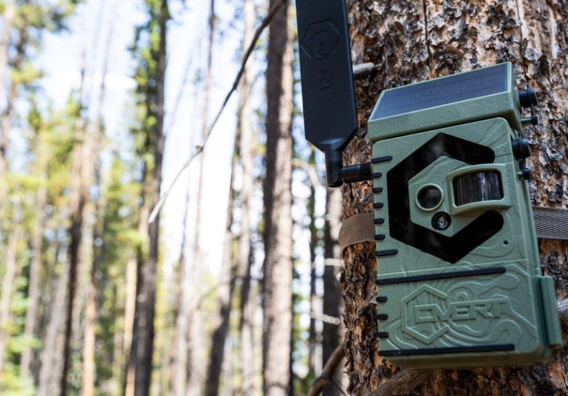 The 7 Best Trail Cameras of 2025 - Deer Cameras for Hunting
