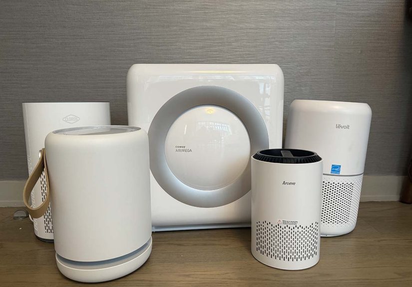 The Best Air Purifiers for Mold of 2025