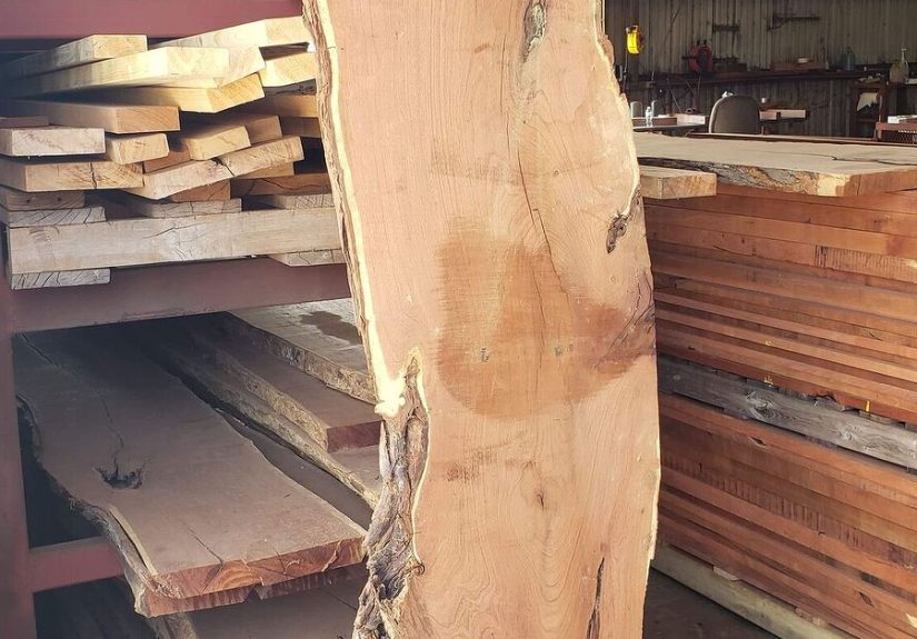 Waterfall Live Edge Mesquite Desk