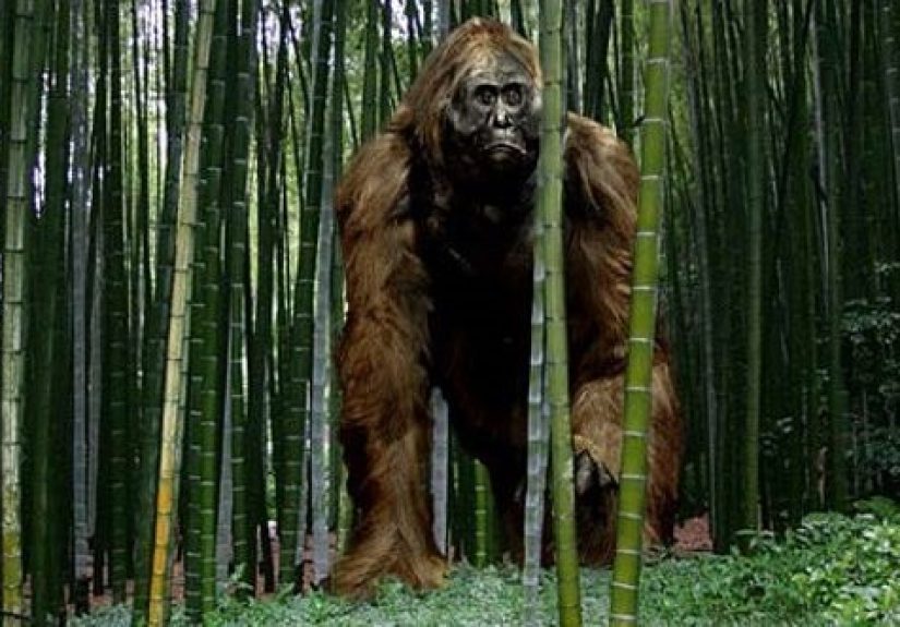 10 Historical Mysteries Solved In Recent Years