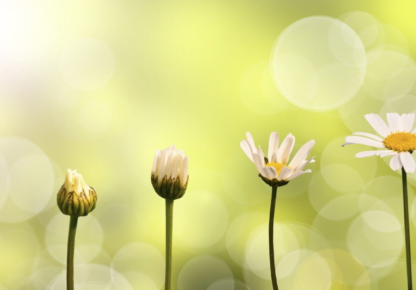 3 Steps for Doctors to Move Into the Next Level of Career Growth