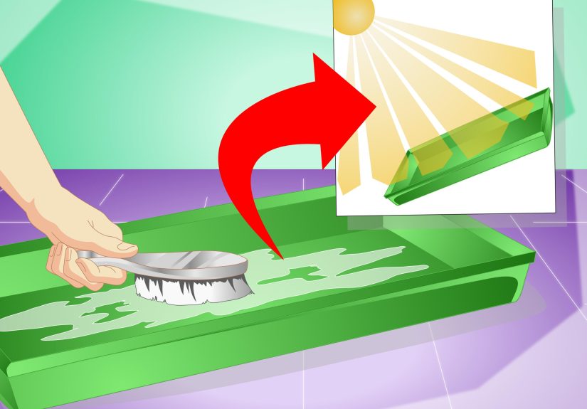 3 Ways to Clean Your Rabbit Without Bathing It