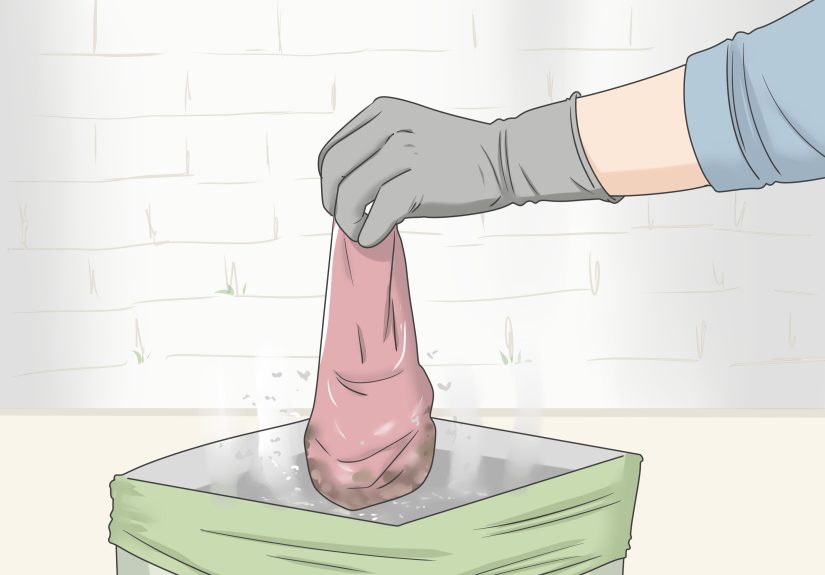 3 Ways to Treat Giardia in Dogs