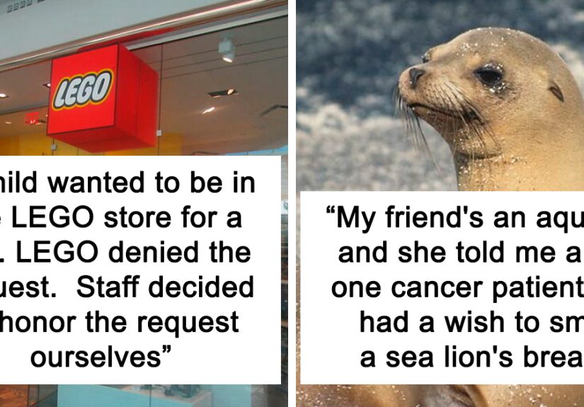 40 Of The Strangest Wishes That The Make-A-Wish Foundation Actually Granted, As Shared By People Online