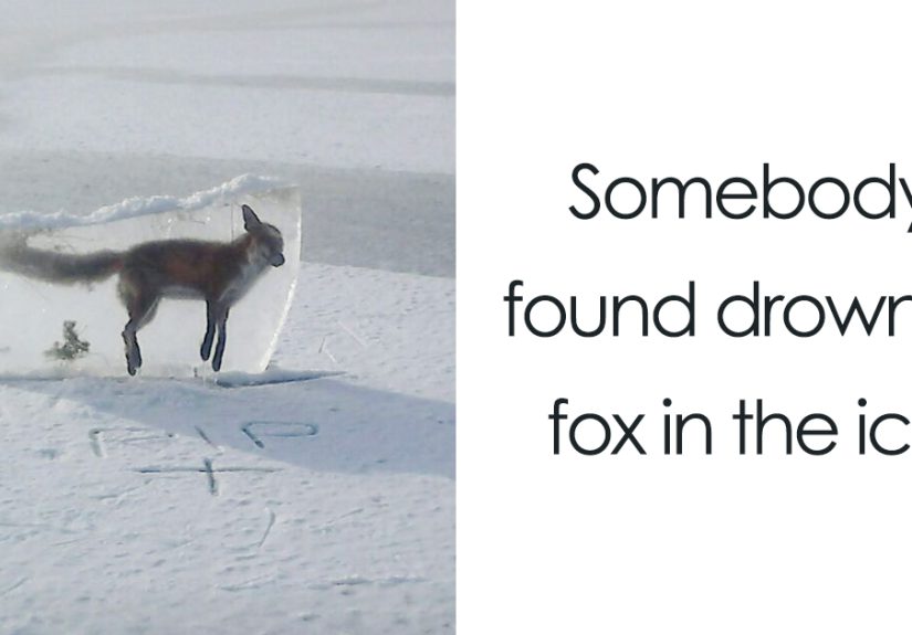 42 Times Nature Made Us Say NOPE (WARNING: This List Might Be Too Scary For You)