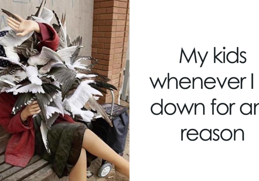 45 Funniest Memes That Sum Up Life As A Mom