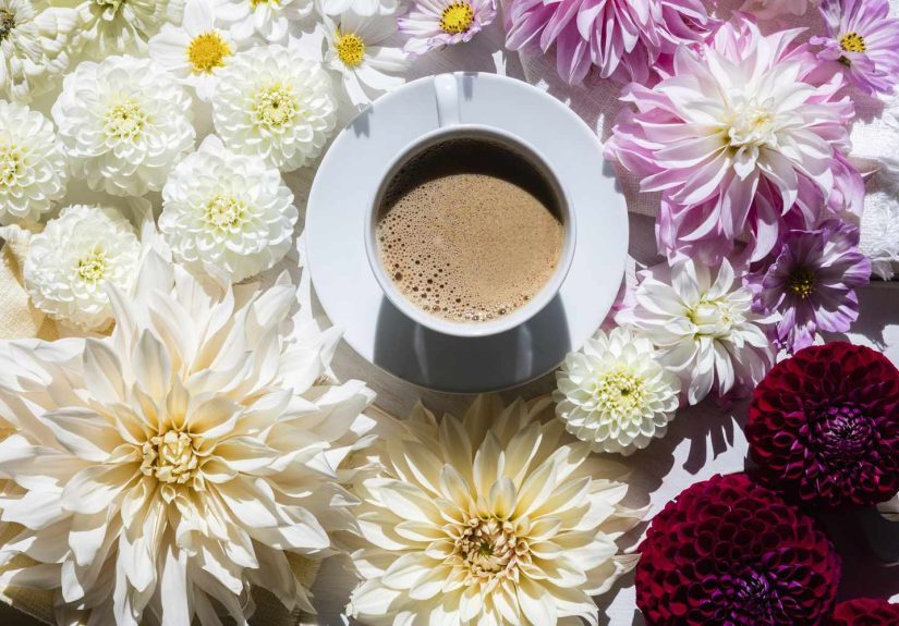 5 Simple Wellness Rituals That Can Actually Make You Happier