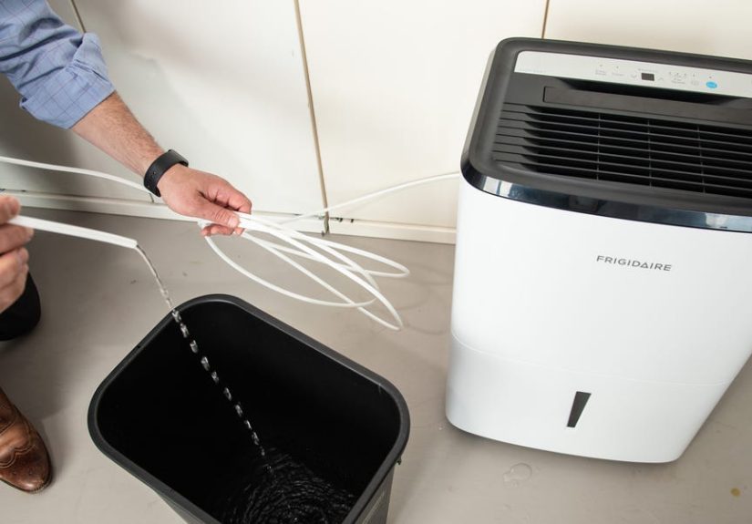 6 Best Dehumidifiers of 2025, Tested & Reviewed