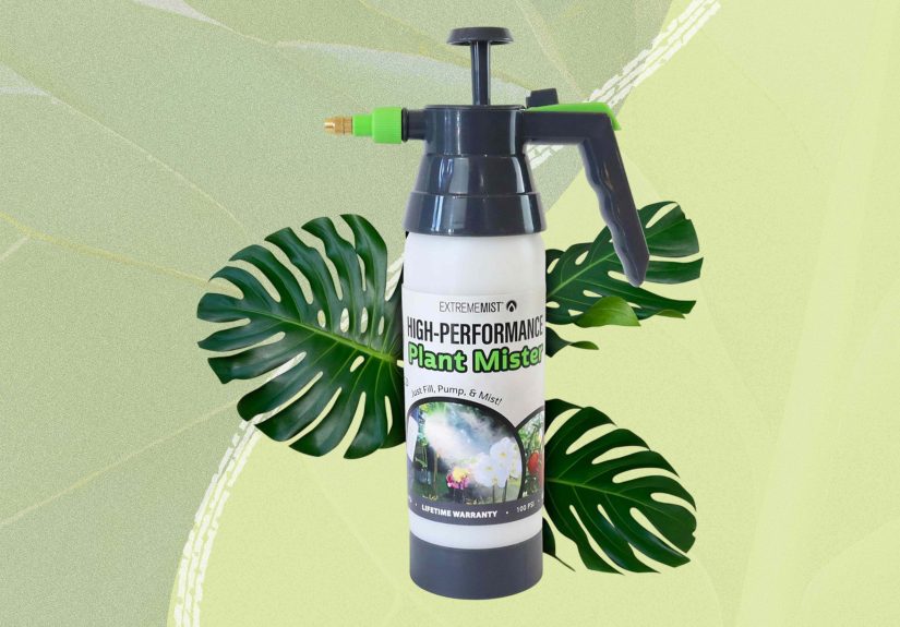 9 Must-Have Plant Misters of 2025 to Upgrade Your Indoor Jungle