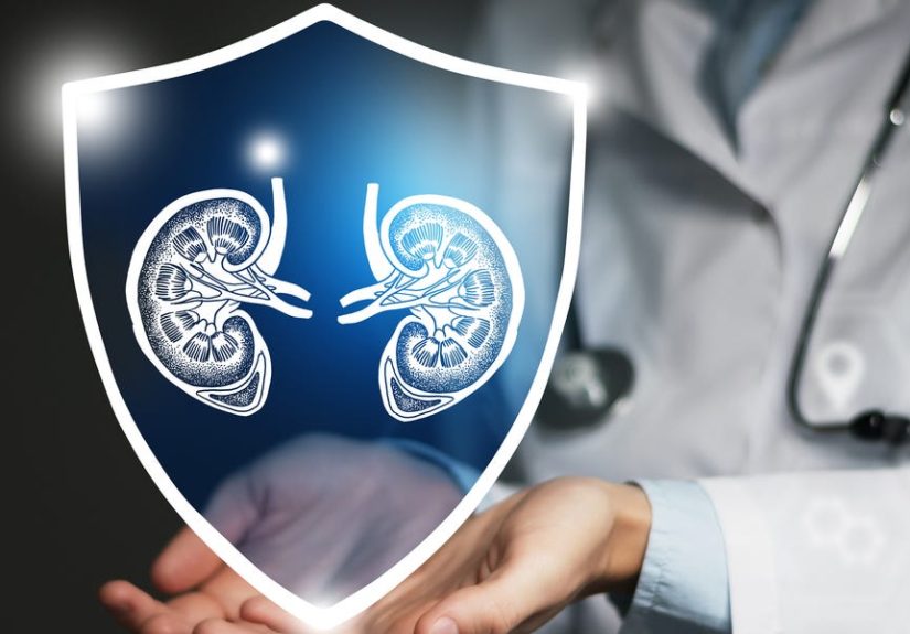 A 62-Year-Old Man Received a Kidney From an Unexpected Donor: a Pig