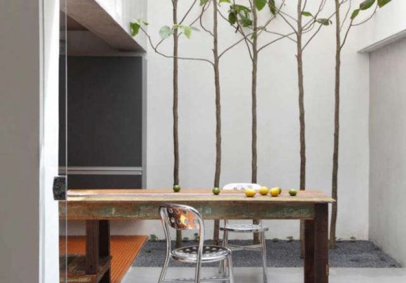 A Magical Kitchen in Brazil