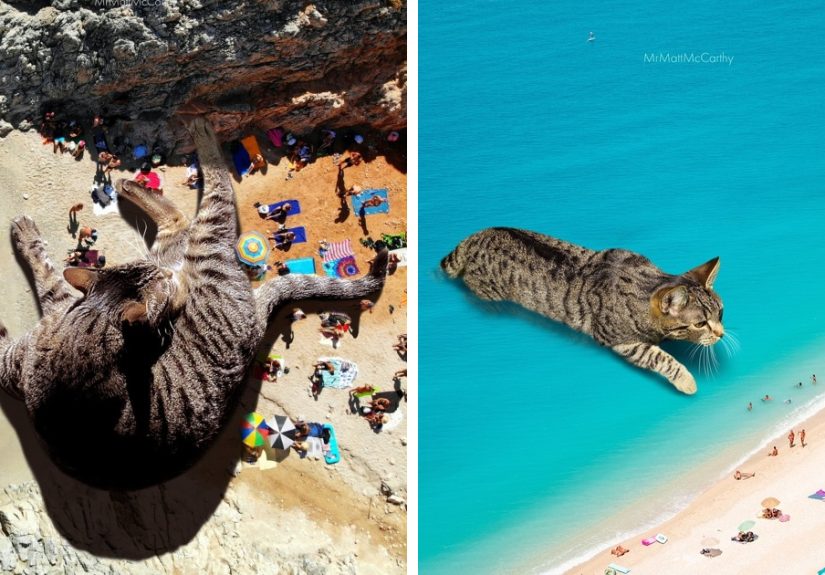 Artist Imagines Surreal Parallel Universe Where Giant Cats Reign, And Here Are 30 New Pieces