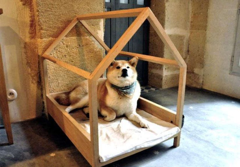 DIY: A Très Elegant Dog Bed, Paris Edition
