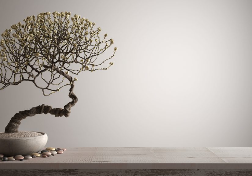 Encountering a Gentle Soul Amidst Stomach Cancer