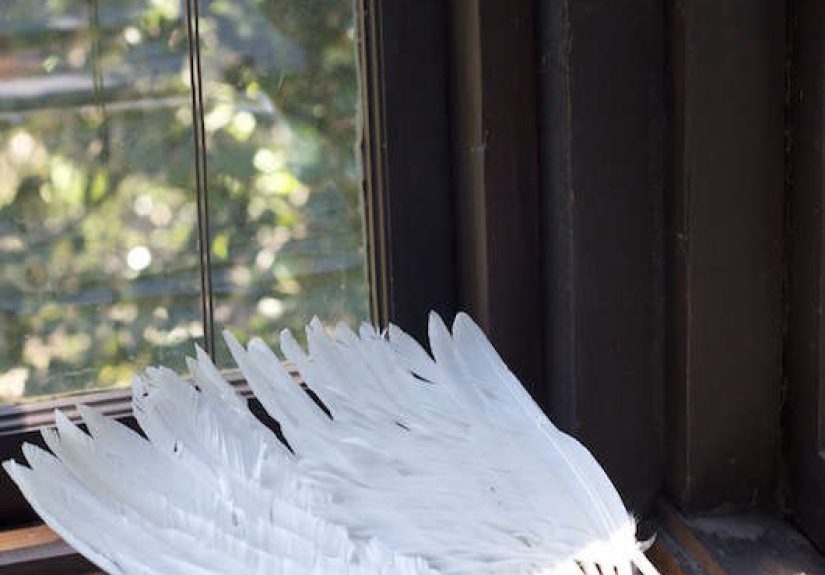 Fashion's Night Out in Marin: Creative Growth at Erica Tanov