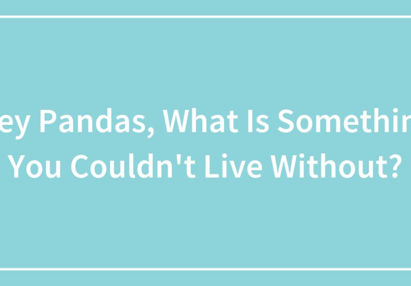Hey Pandas, What Is Something You Couldn’t Live Without?