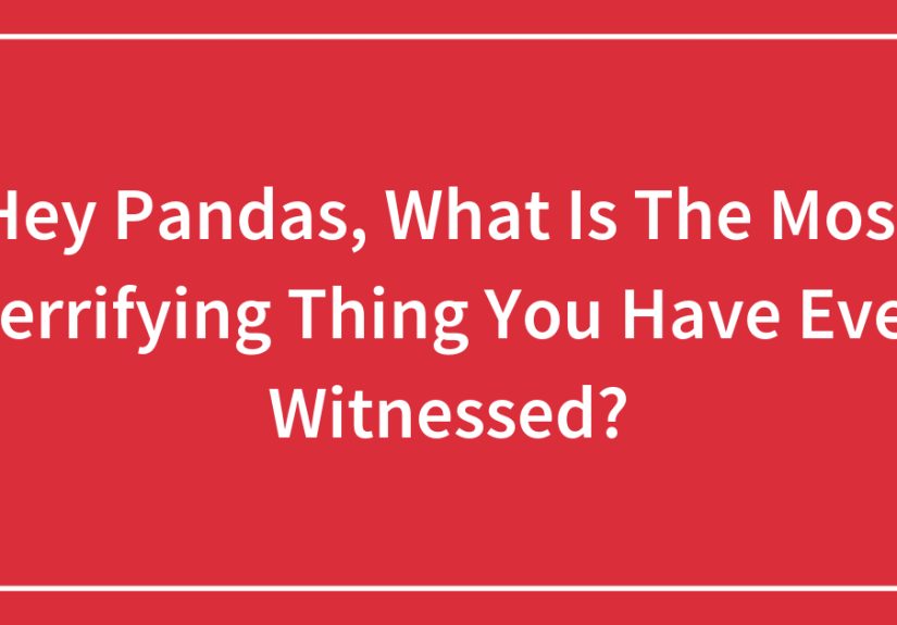 Hey Pandas, What Is The Most Terrifying Thing You Have Ever Witnessed?