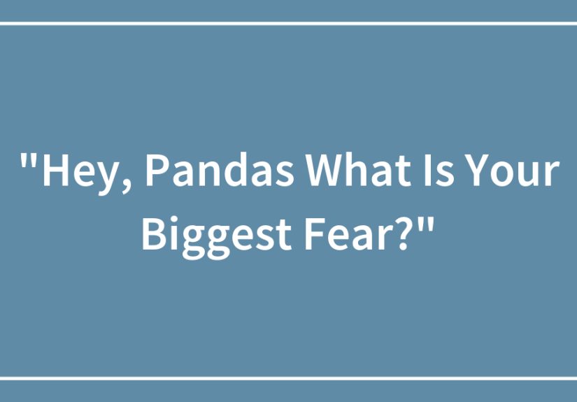 &ldquo;Hey, Pandas What Is Your Biggest Fear?&rdquo;