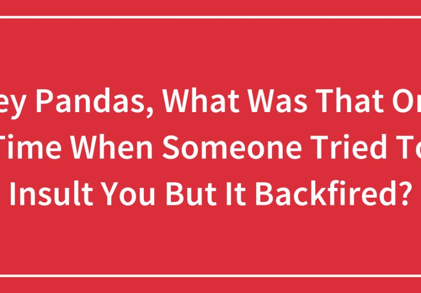 Hey Pandas, What Was That One Time When Someone Tried To Insult You But It Backfired?